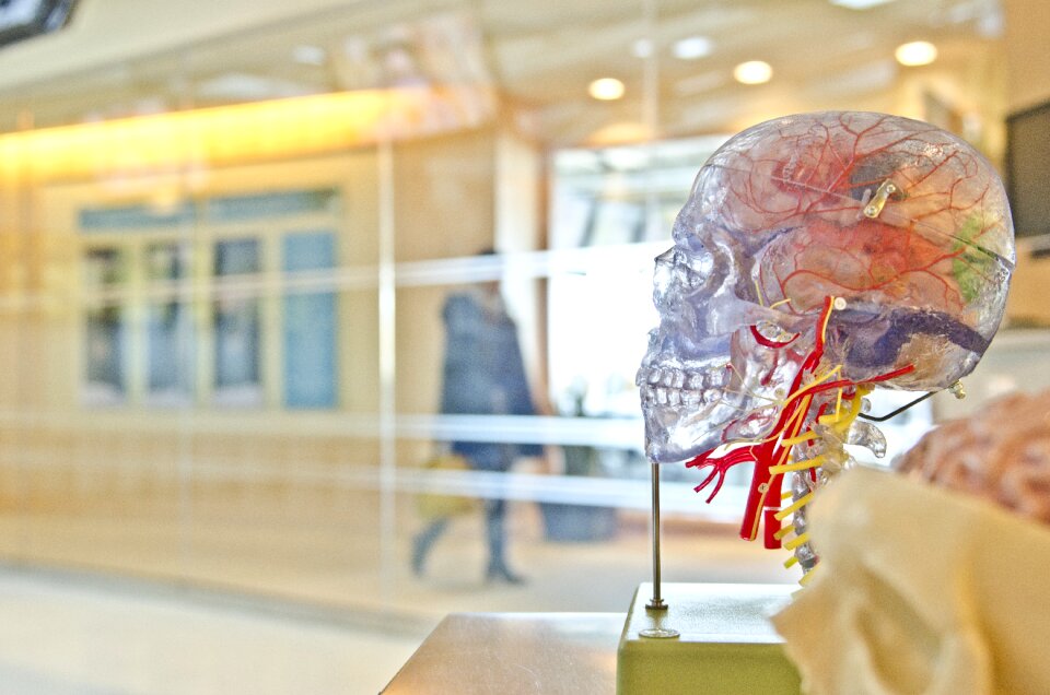 Science medical exhibit