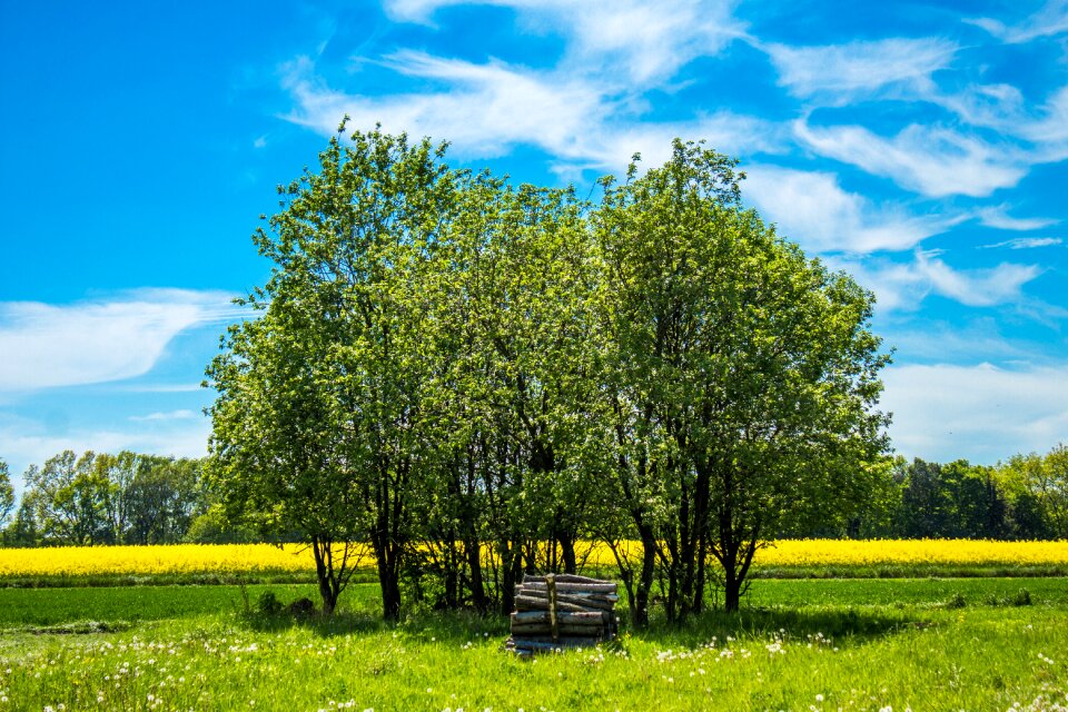 Collections spring landscape rural
