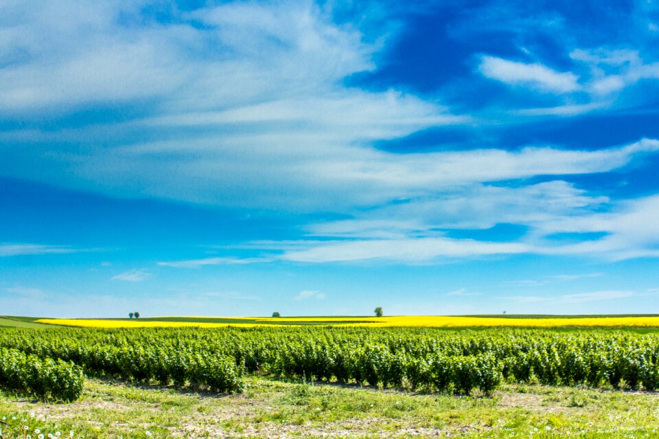 Collections spring landscape rural