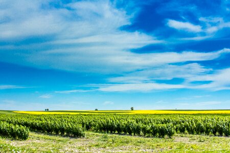 Collections spring landscape rural photo