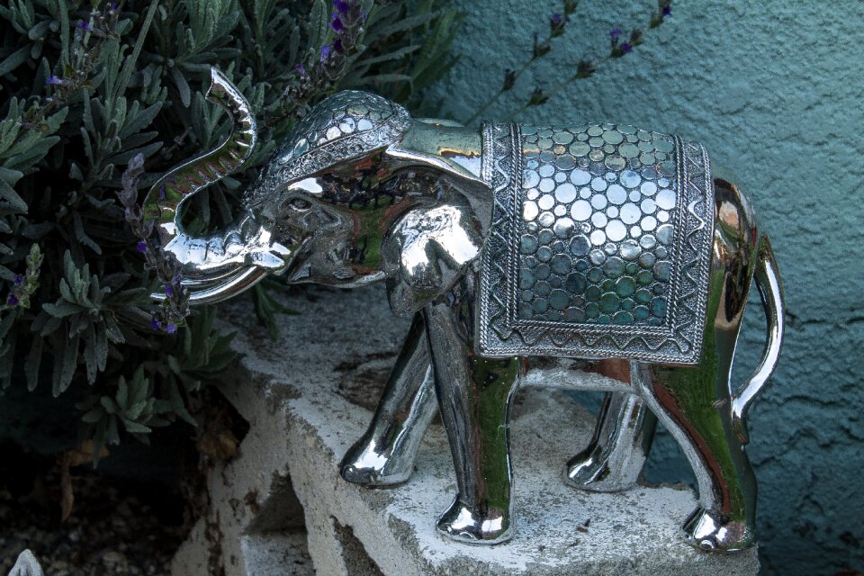 Garden yard decor east india