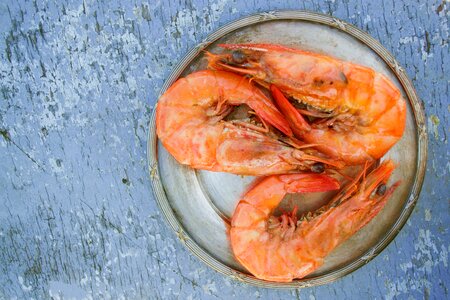 Meal fish dish photo