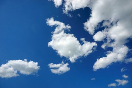 Blue sky glomerulus sunny day