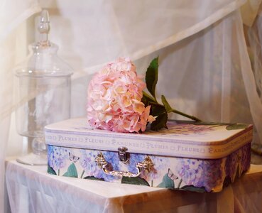 Flower the suitcase decoration