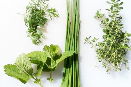 Chives thyme cook