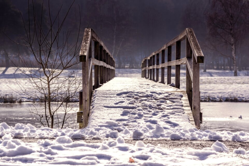 Railing winter nature