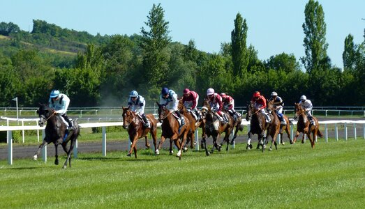 Jockeys horse racing photo