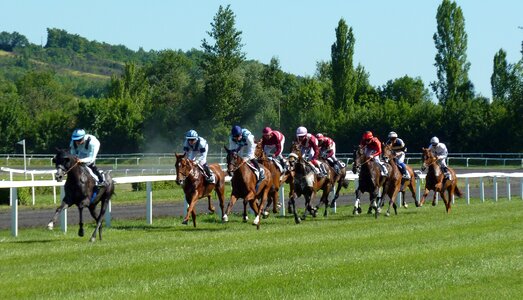 Jockeys horse racing