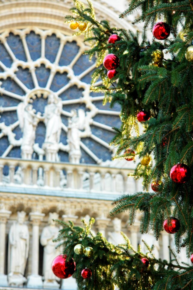 West rose detail christmas