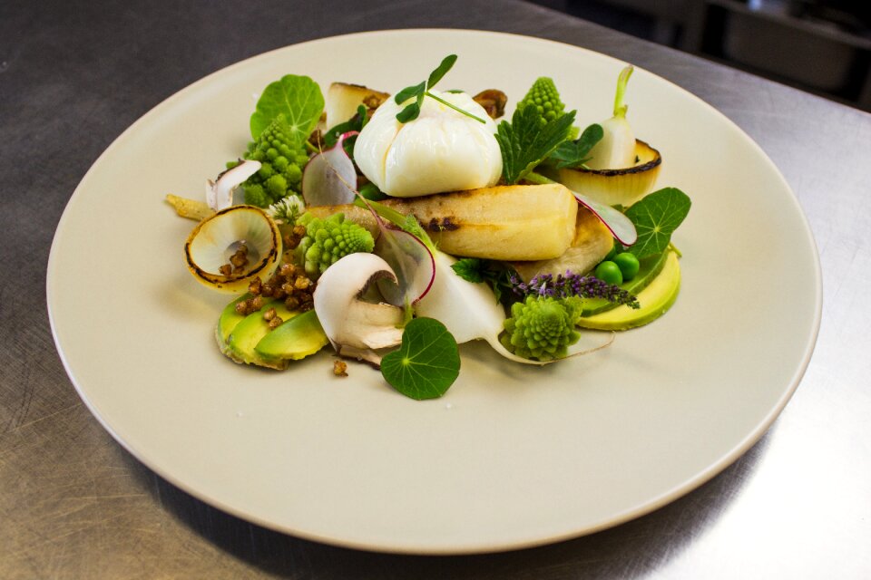 Vegetables salad court