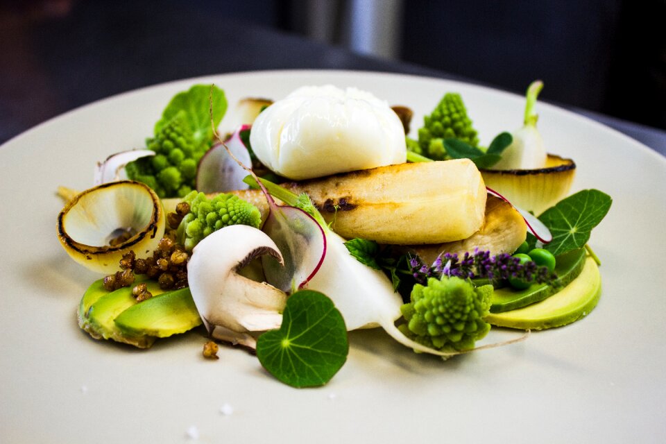 Vegetables salad court