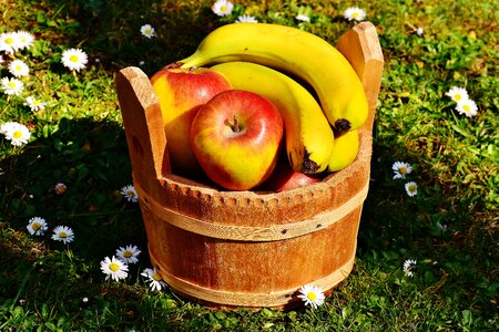 Fruit basket fruits apple photo
