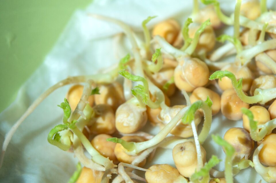 Legumes food healthy eating