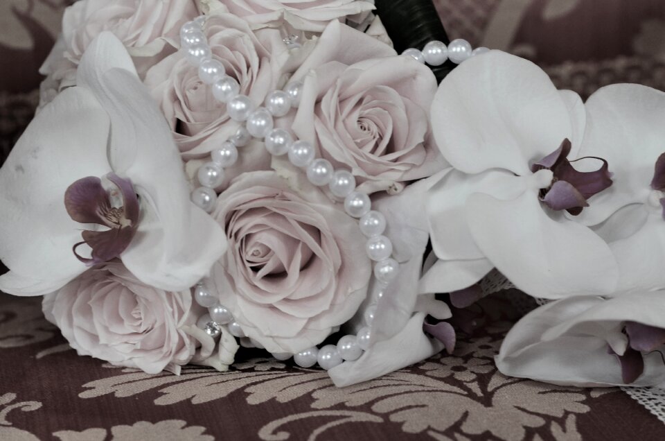 Flowers white purity