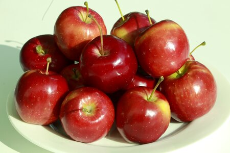 Apple apple and fruit