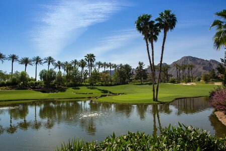 Golf course landscape