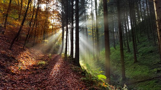 Nature mystical atmosphere