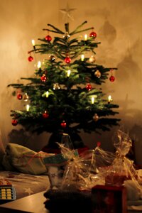 Festive fir tree christmas tree photo