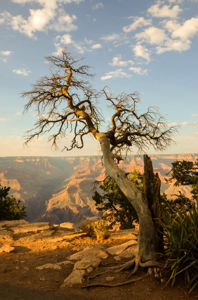 Canyon national park gorge
