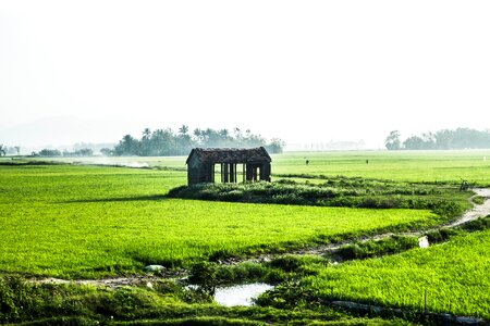 River green house green road