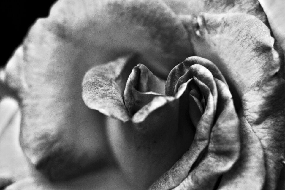 Love studio detail