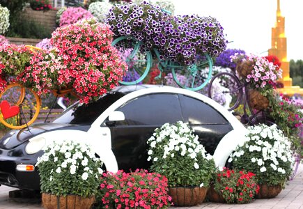 Design landscape outdoor