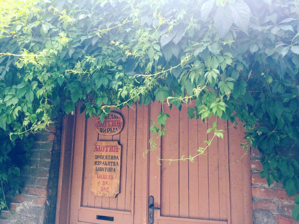Door green leaves