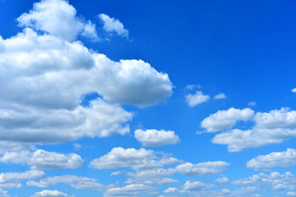 Blue sunny nature
