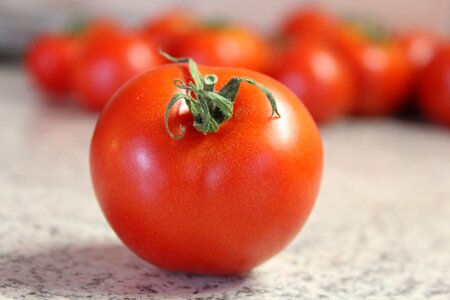 Food healthy harvest