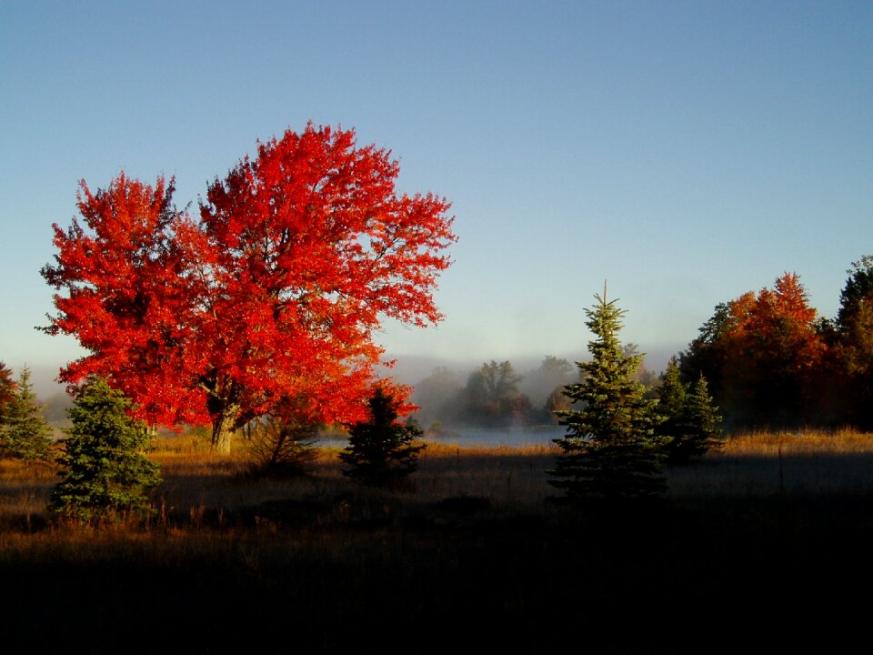 Park colorful autumn