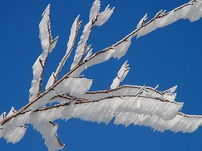 Eiskristalle frozen branches photo