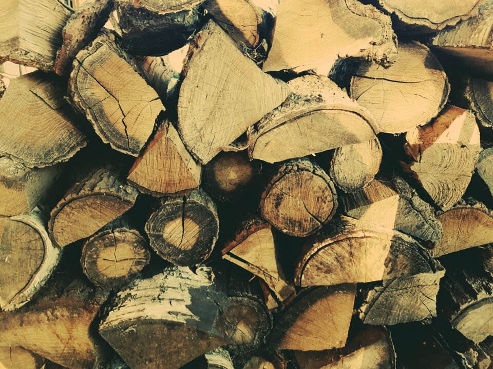 Firewood nature tree