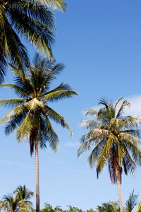 Vacations wave nature