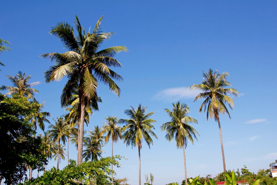 Vacations wave nature
