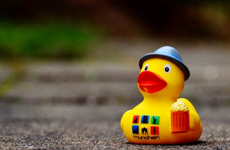 Bath duck toys rubber duck