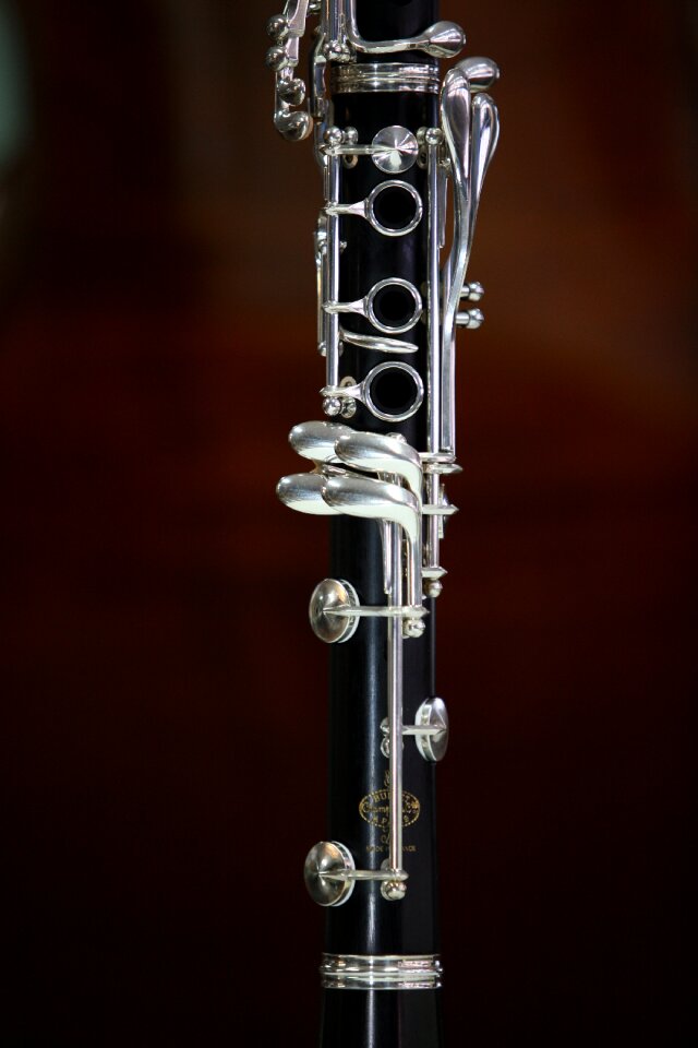 Wind hobby musicians
