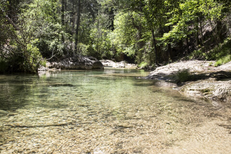 Nature landscape current