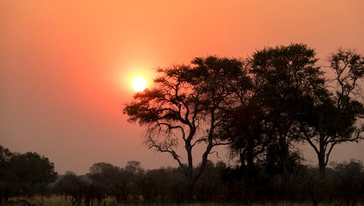 Nature shots afterglow africa