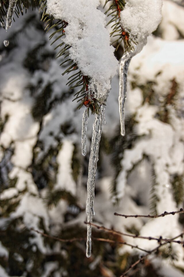 Wintry white cold