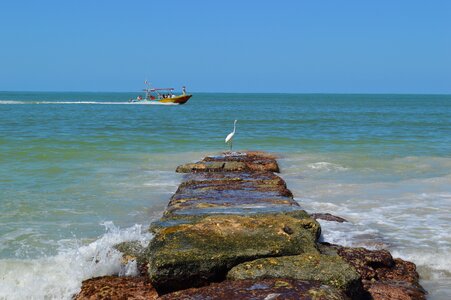 Landscape holbox nature