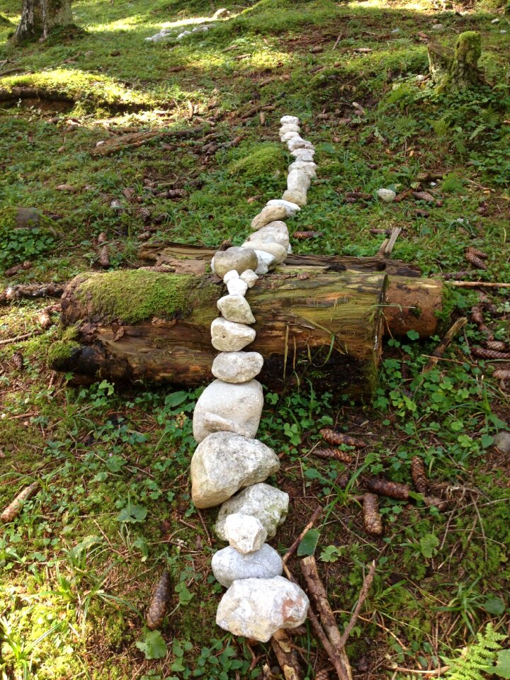 Path nature mourning