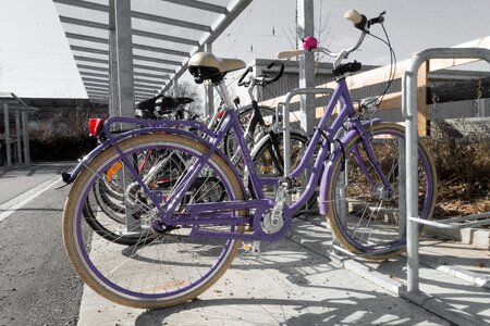 Violet park bikes photo