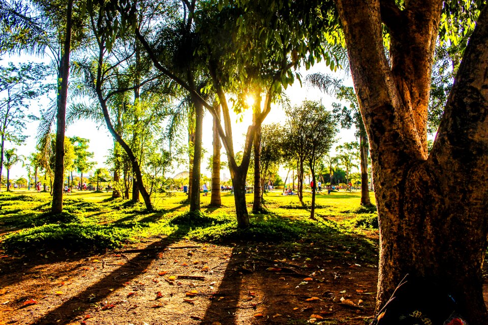 Daylight environment fall