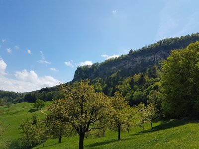 Nature hiking forest