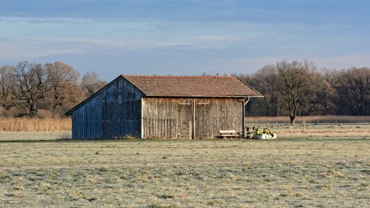 Nature field meadow photo