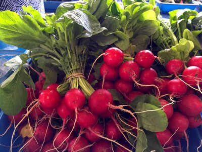 Food healthy raw