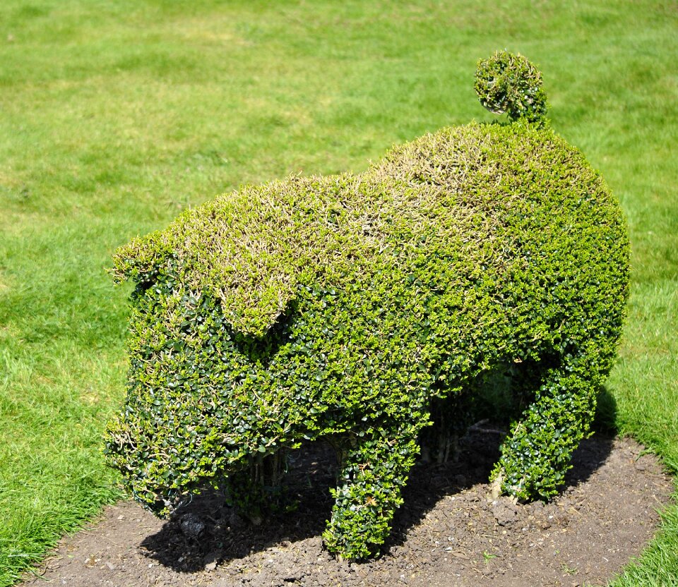 Outdoor landscape garden