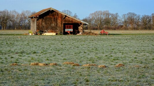Nature field meadow