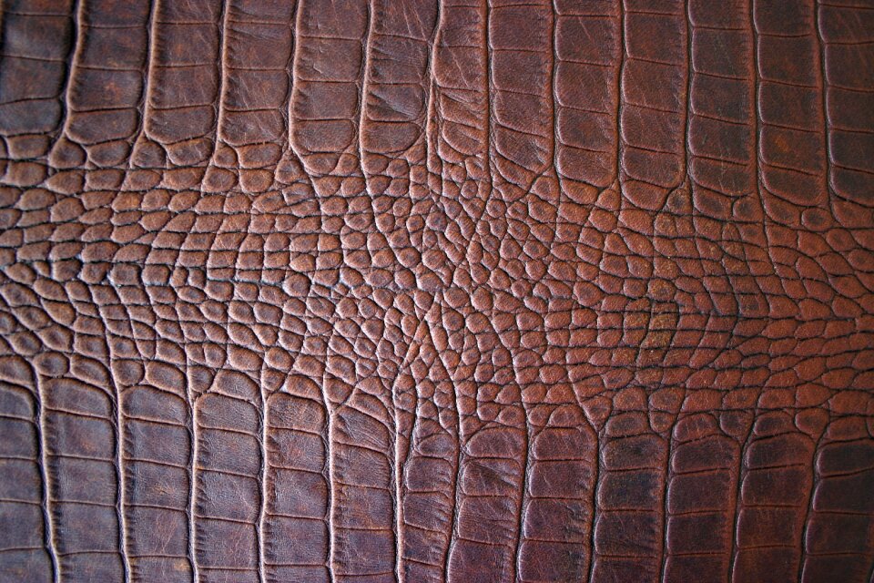 Brown leather structure detail