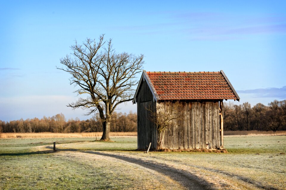 Nature field meadow